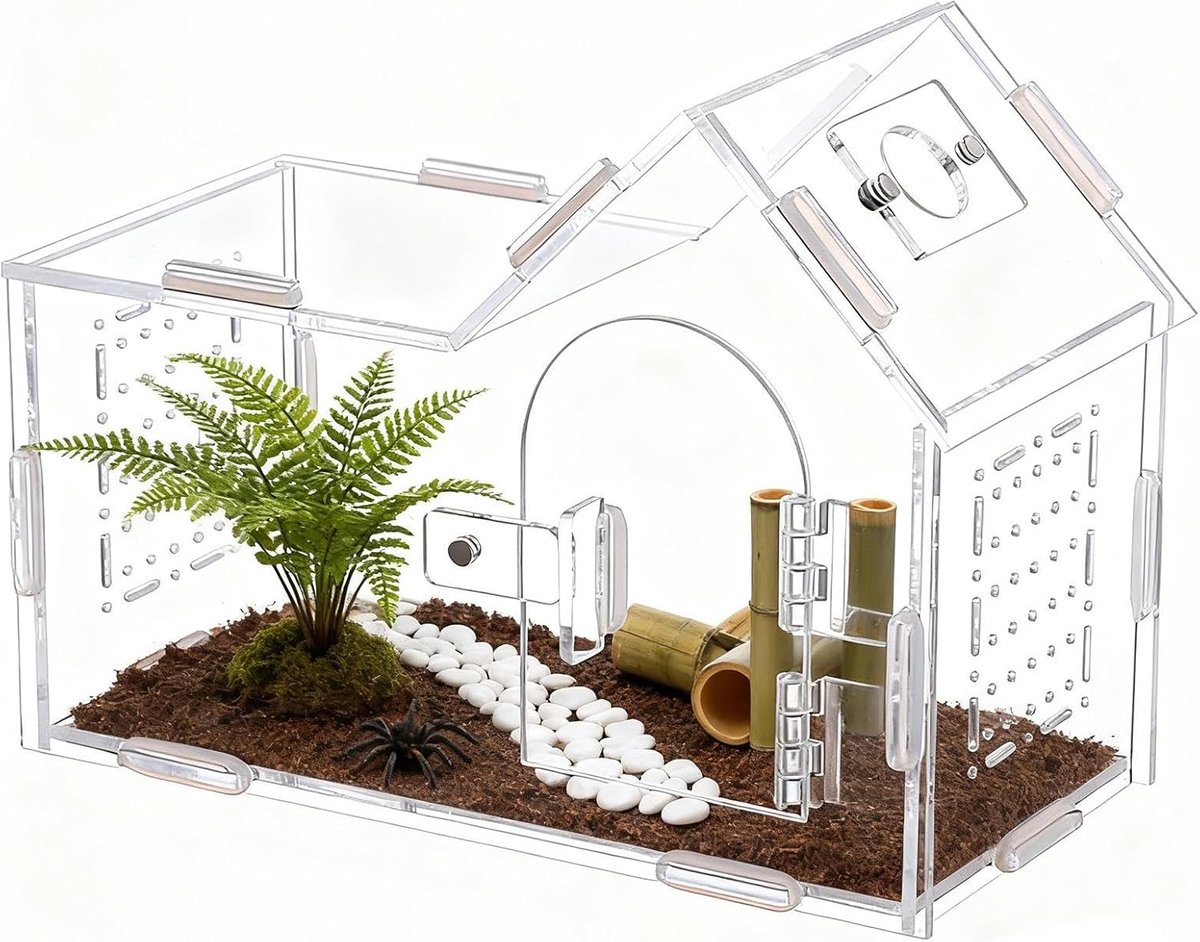 Transparant Terrarium - Acryl Behuizing Reptiel - Kleine Dieren Huisvesten - Geventileerd En Transparant - 20x15x10cm