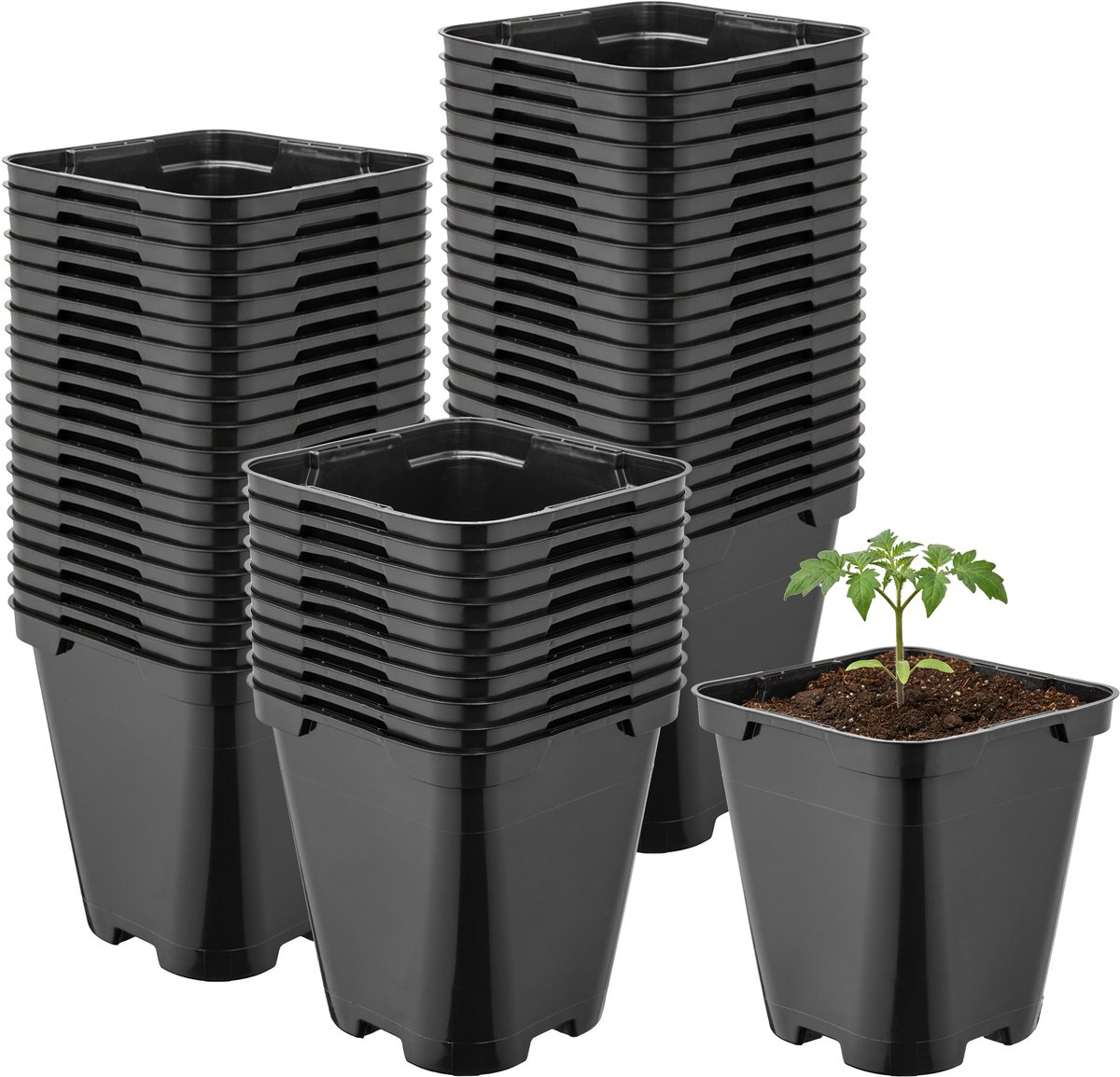 Garronda Set van 50 afgeronde vierkante kunststof kweekpotten met drainagegaten voor tuin (Zwart, 9 x 9 x 9,6 cm (0,5L)) GD-KW-SR