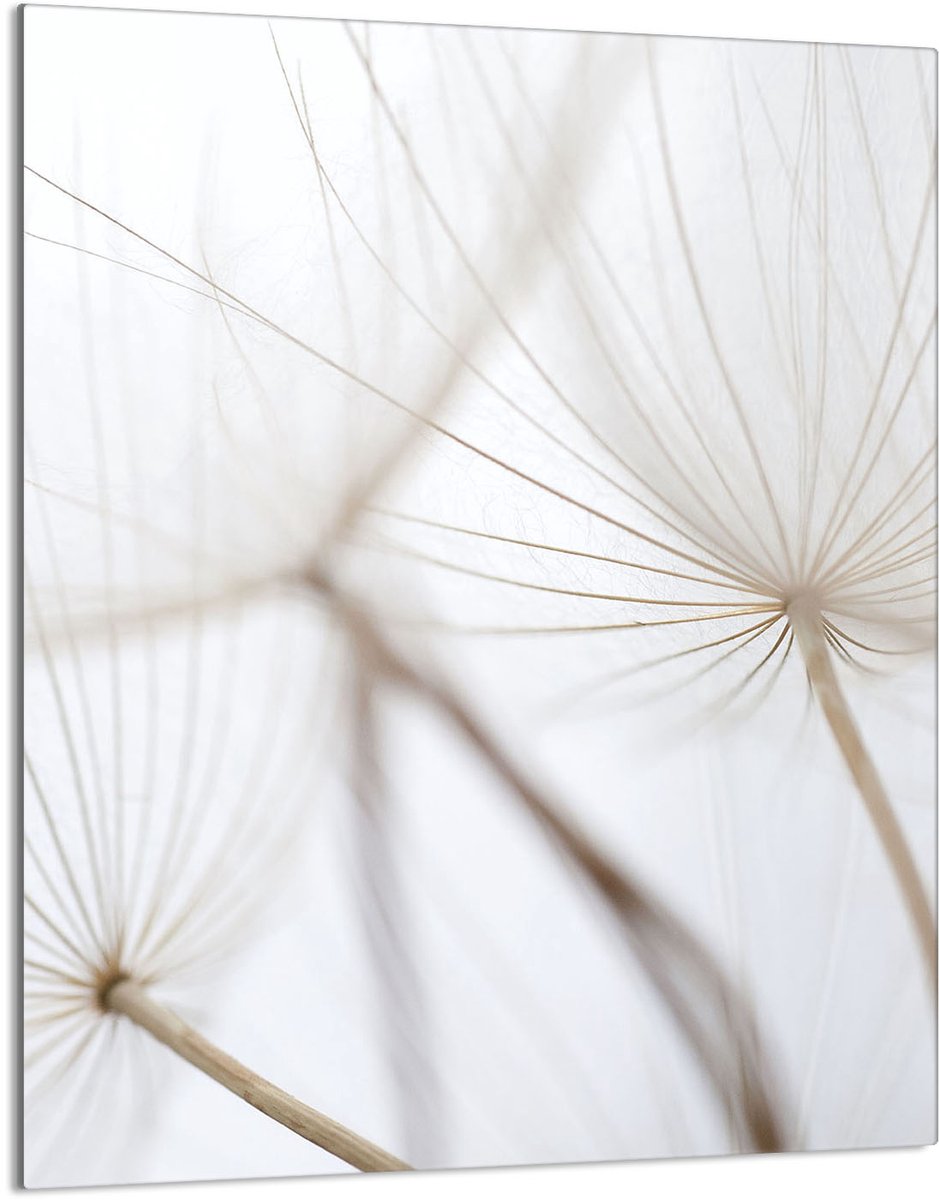 TMK ArtDeko Serie - Glazen Snijplank - 40x52 cm - Kookplaat Bescherming - Bloemdesign