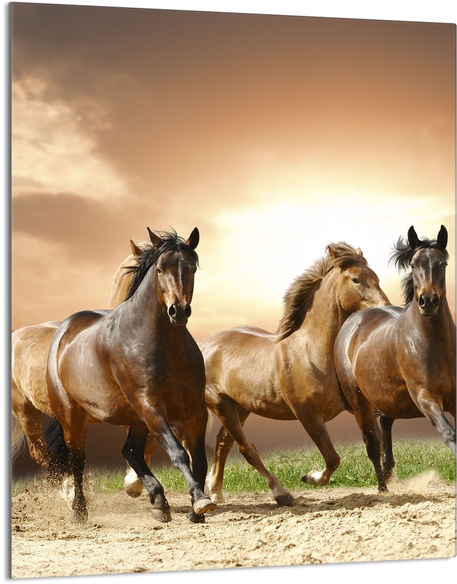 TMK ArtDeko - Snijplank - 40x52cm - Glas - Met Paardenmotief
