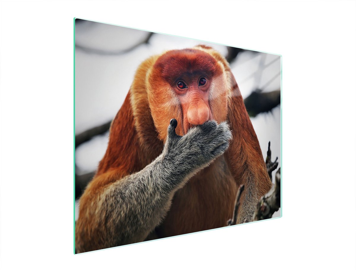TMK ArtDeko - Snijplank Glas - 52x40 cm - Veiligheidsglas - UV Print