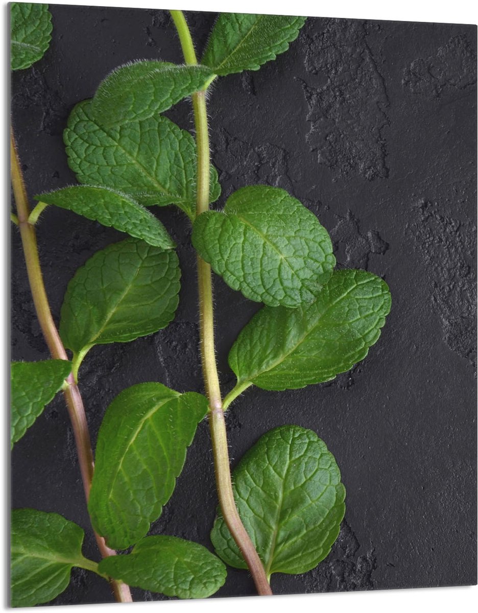 TMK ArtDeko - Snijplank - Gehard Glas - 40x52 cm - Mint