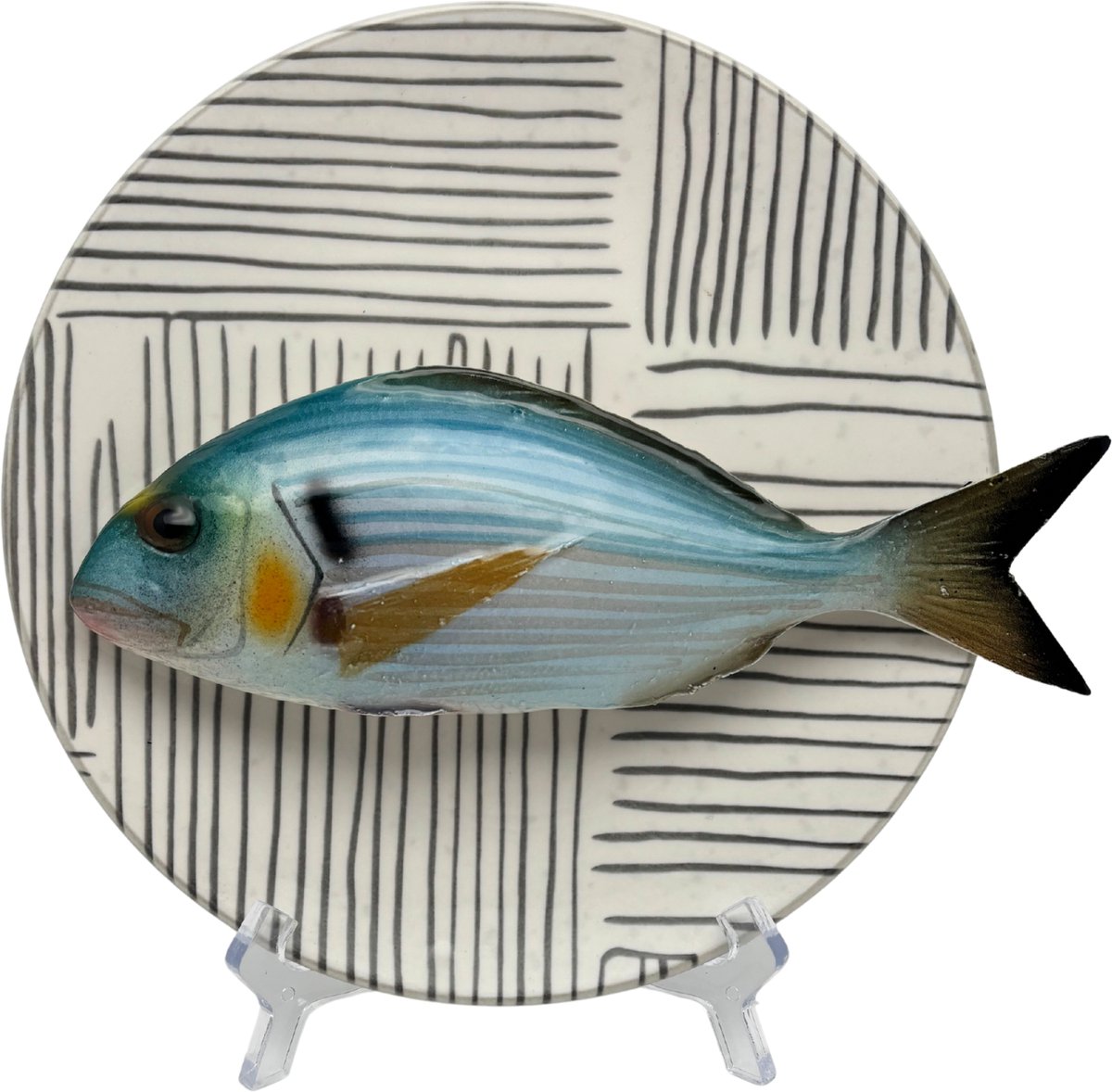 Orata op bord met grijze streep decoratie, 20 cm