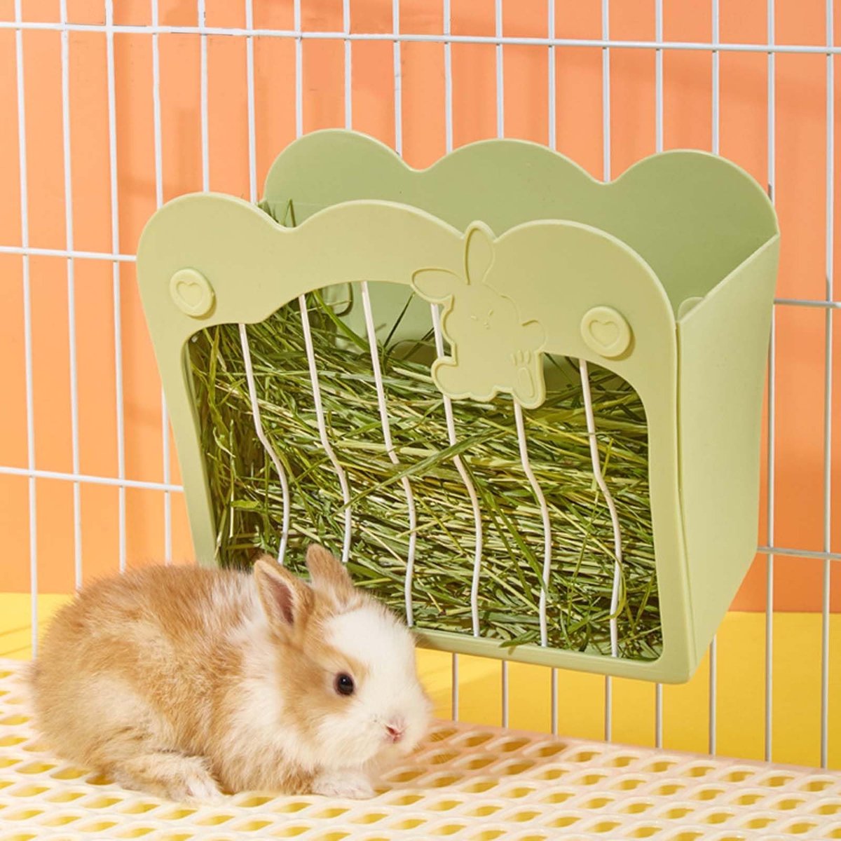 Dailygoody – Hooiruf voor konijnen en cavia’s – Voederstation – Hoogwaardig roestvrij staal – 25x20x12,5 cm – Veilig en duurzaam – Geschikt voor klein…