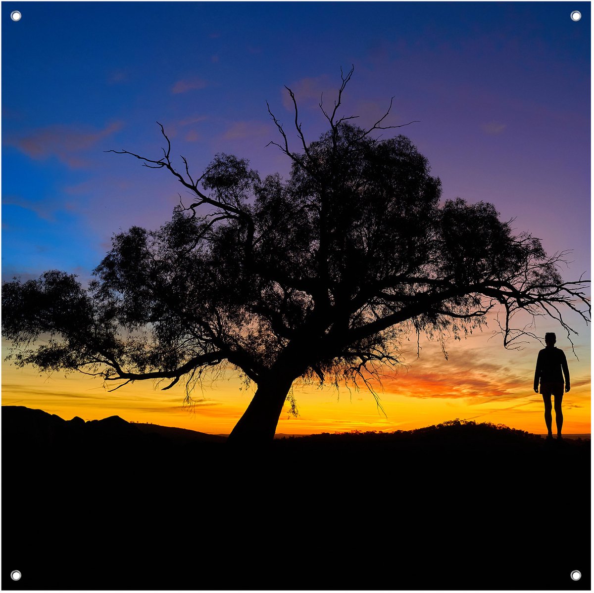 Zonsondergang Silhouet Boom - Tuinposter - Tuindoek - 60x60 cm - Buitenposter - Schuttingdoek - Tuinschilderij voor Buiten