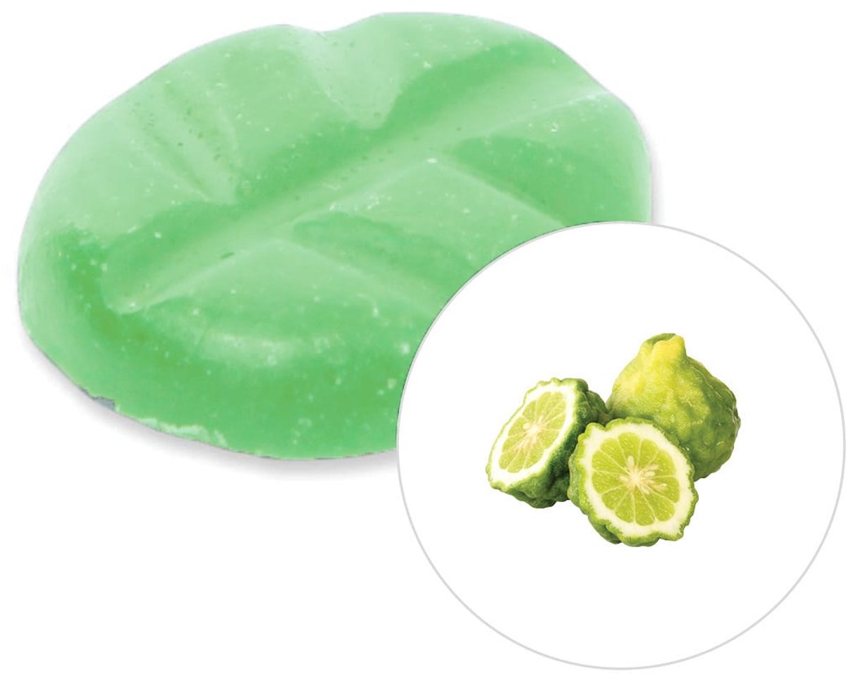 Scentchips® Italiaanse Bergamot - Geurblokjes - Huisparfum - Geurchips - Waxmelts - Geschi