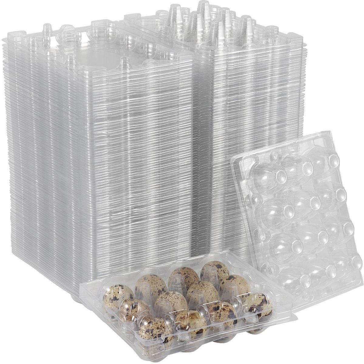 Cosensi- Kwarteleierdoosjes 50 stuks - Plastic Eierdoosjes - Transparante Dozen - Duurzaam - Schokbestendig - Betrouwbare Bescherming - Eierdoos