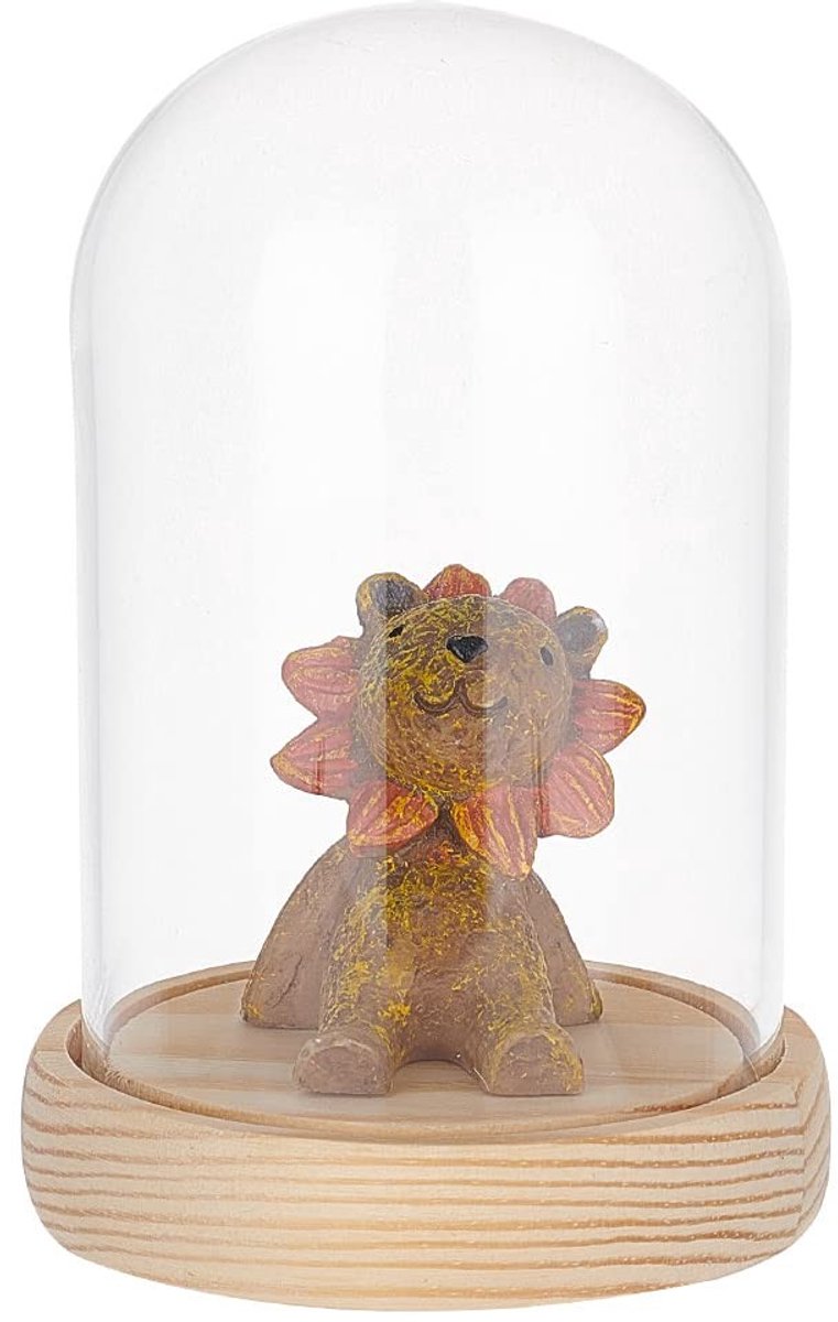 Cosensi- Glazen Stolp 8x9.2cm - Bell Jar - Decoratieve Stolp - DIY Crafts - Antidust - Schokbestendig Glas