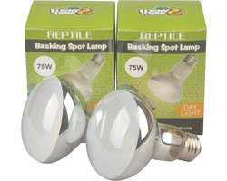 Warmtelamp voor Reptielen en Amfibieën 75W - 2 Stuks