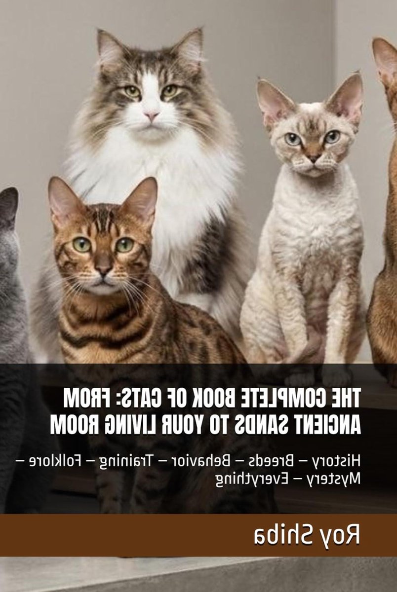 Katten Encyclopedie - Kattenboek Alles - Katten Begrijpen - Geschiedenis Gedrag Training - 442 Pagina's - Niet gespecificeerd