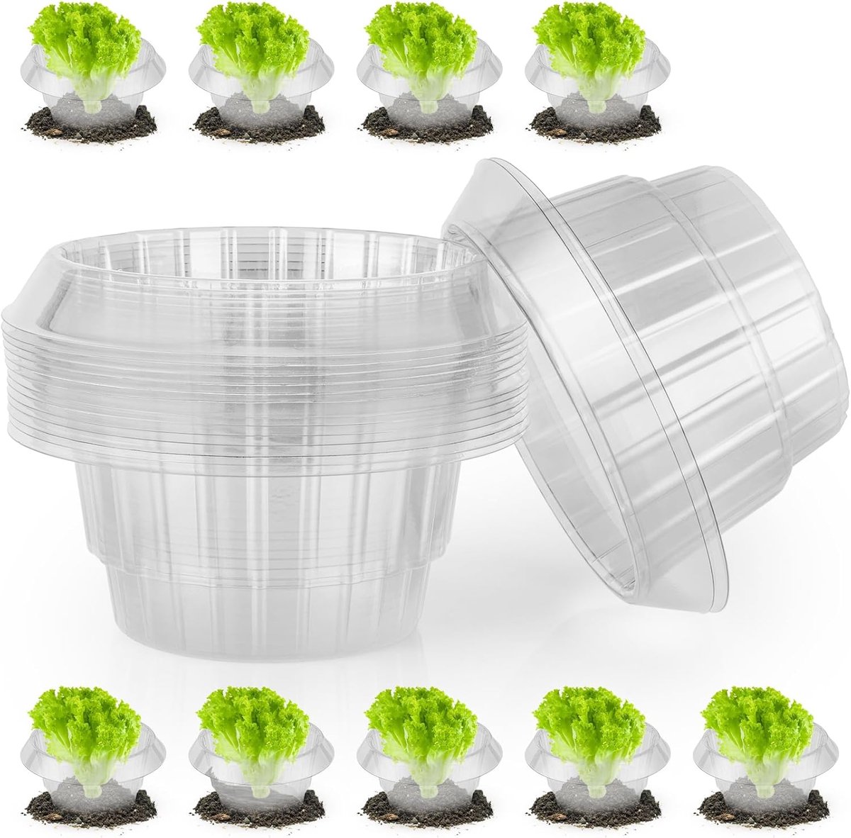 10 Plantenbeschermhoezen - Rond Verdikt - Slakkenwerende - Plastic - Transparant