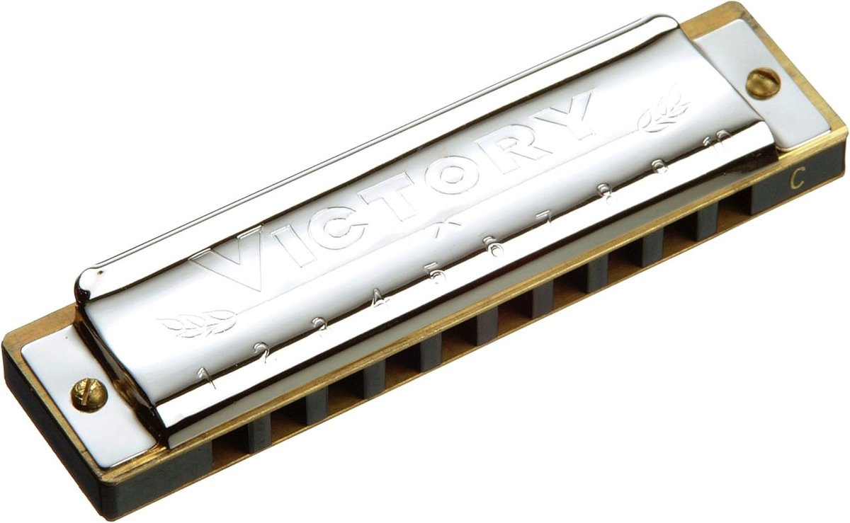 Mondharmonica 10 Gaten voor Kinderen - Muziekinstrument voor Beginners