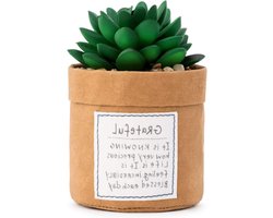 DEMDACO Green Succulent Plant Kindness Grateful 3 x 5 Acrylic Tabletop Artificial Flower Arrangement