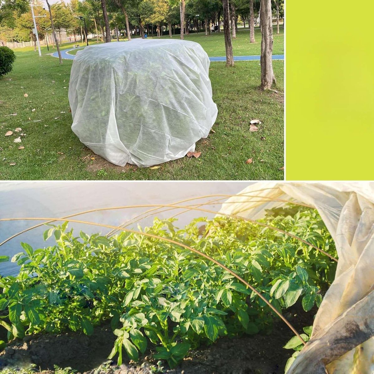 CE - Plantenbeschermhoes - 3x10M - Vorstbestendig - Beschermend