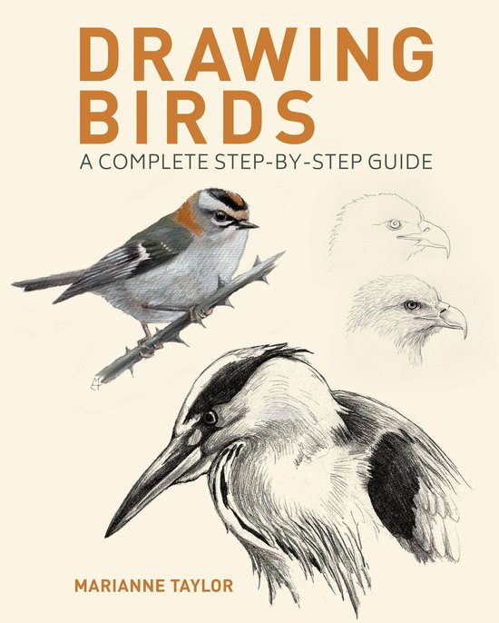 Drawing Birds - cover