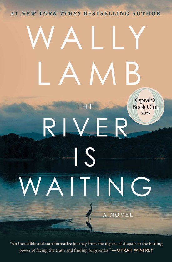 The River Is Waiting (Oprah's Book Club) - cover
