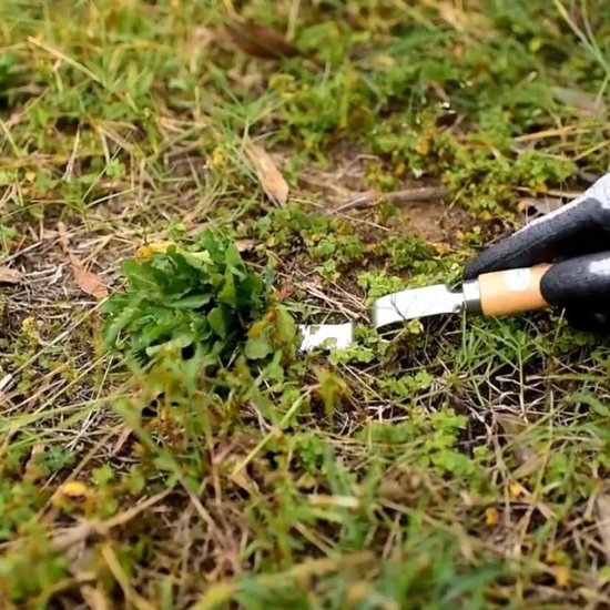 Hand Onkruidvork - Tuingereedschap Verwijderaar - Onkruid Wieden - Roestvrij Staal - 30 cm Lengte - Hout — afbeelding 2