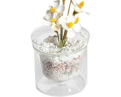 Bloempot Orchidee - Glazen Vaas - Planten Verzorgen - Dubbellaags Reservoir - 10 cm - Doorzichtig