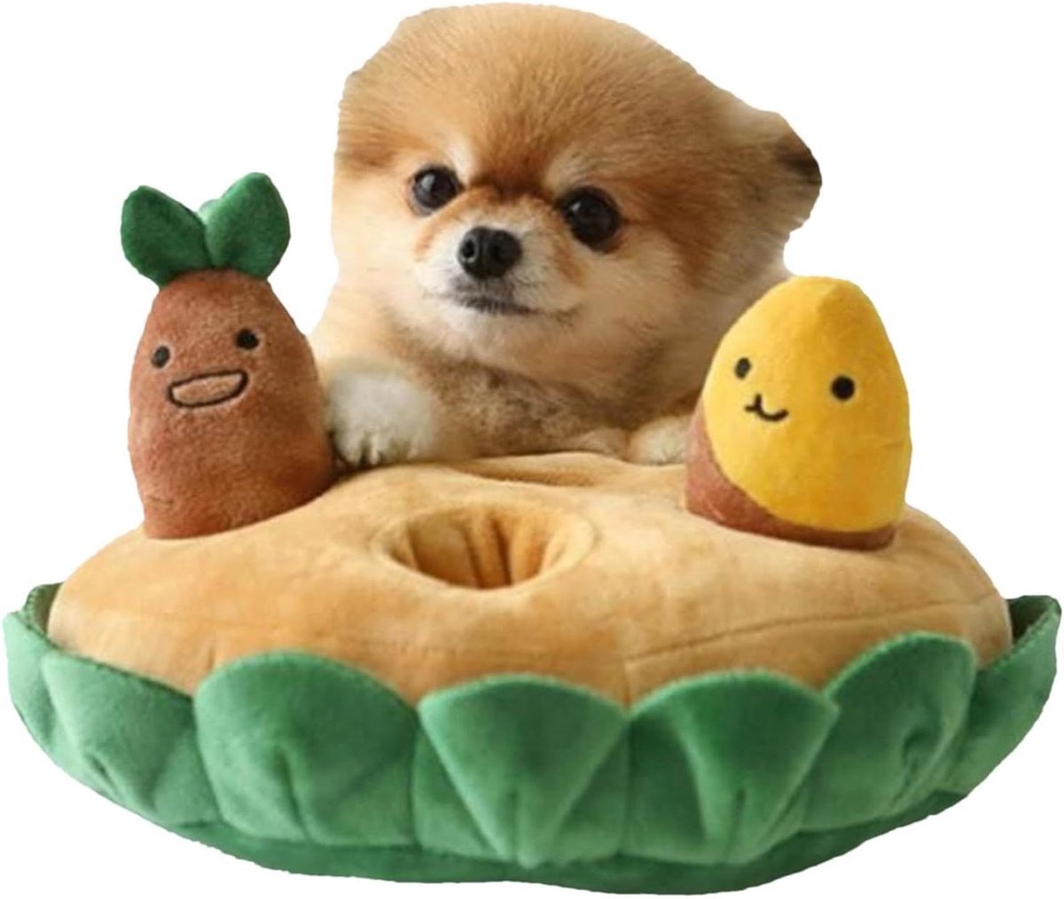 Honden Snuffelmat - Interactief Speelgoed - Hersentraining Hond - Met Pieper - 24 x 20 cm - Bruin