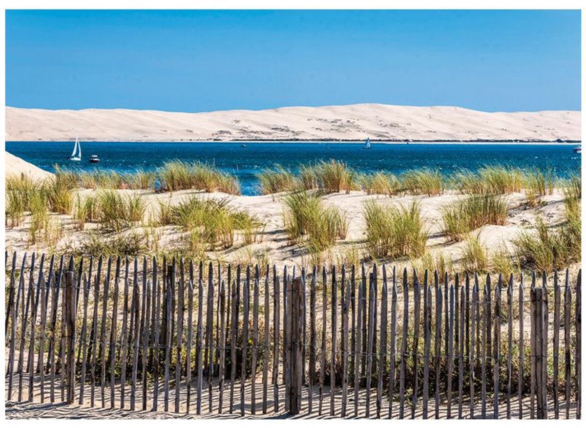 Nathan – 12001879 – Puzzel – 1000 stukjes – Vue sur la Dune