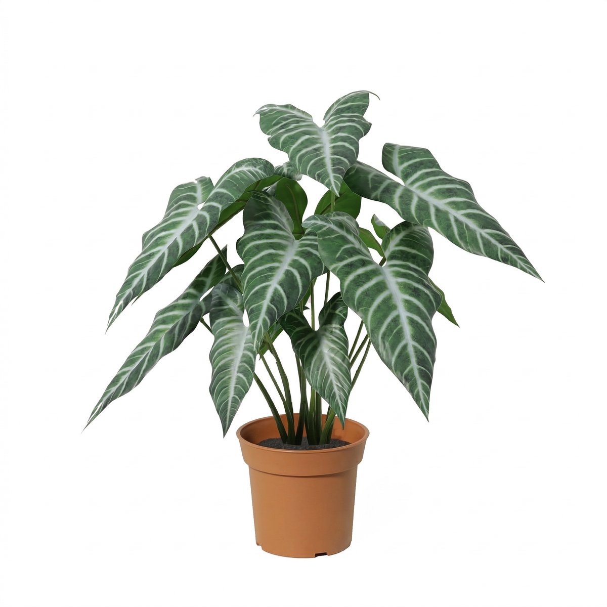 Florafy Kunstplant Alocasia Polly 49cm - Kunstplanten voor binnen - Onderhoudsvrij Groen