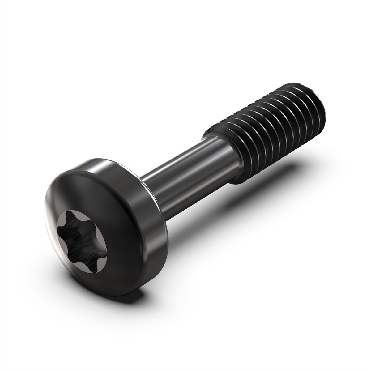 SCHROFF Kraagschroef, Torx M2,5 x 12,3 mm, staal zwart, 100 stuks
