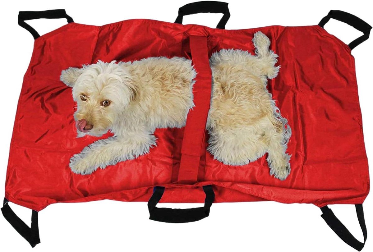 Hondendrager Inklapbaar - Dierenligstoel Transportdrager - Veilig Transport Huisdier - Verstelbaar Veiligheidsgordelsysteem - 120 x 74 x 3 cm - Rood