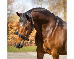 Horsegear Halster Horsegear Rose Gold Zwart | Maat: Paard