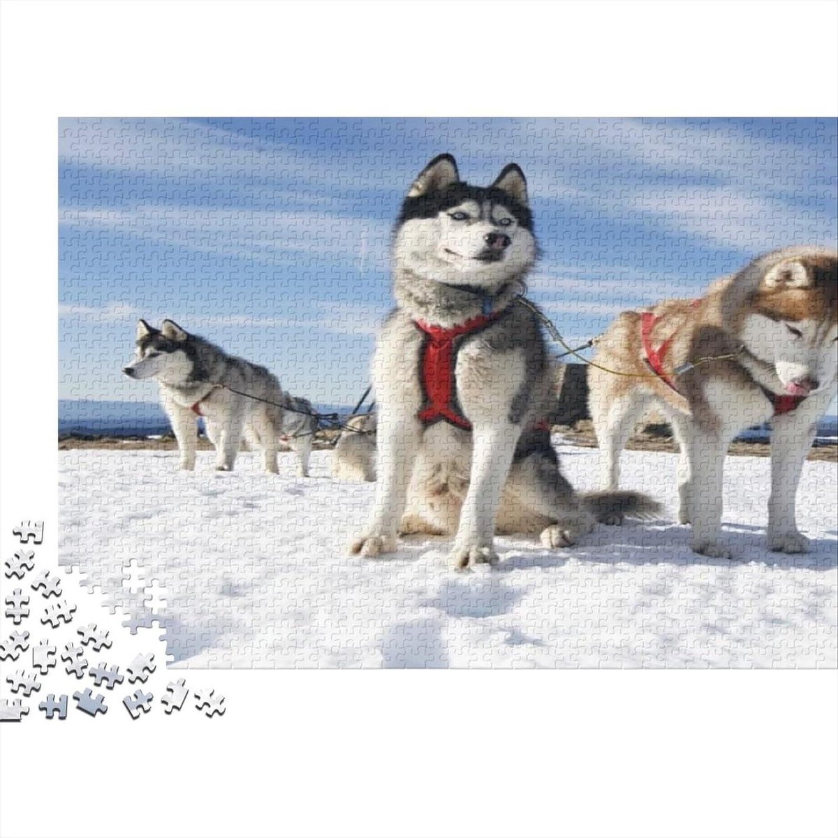 Fotopuzzel Dieren - Puzzelspel Volwassenen - Ontspannen Tijdverdrijf - Gepersonaliseerd Ontwerp - 75 x 50 cm - Multi