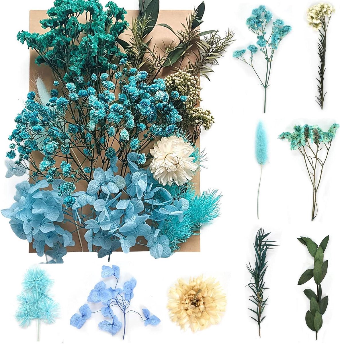 Gedroogde Bloemen Set - Natuurlijke Bloemen Decoratie - Knutselen en Decoratie - Echte Natuurlijke Bloemen - 21x16 cm - Blauw