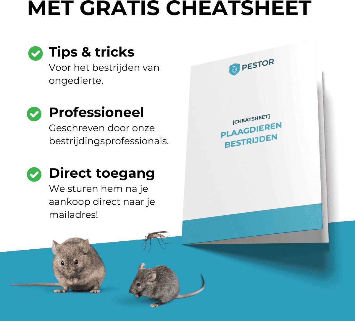 Knock Off Insectenlamp 5 Watt (35 m²) - Krachtige Insecticide - Met gratis cheatsheet