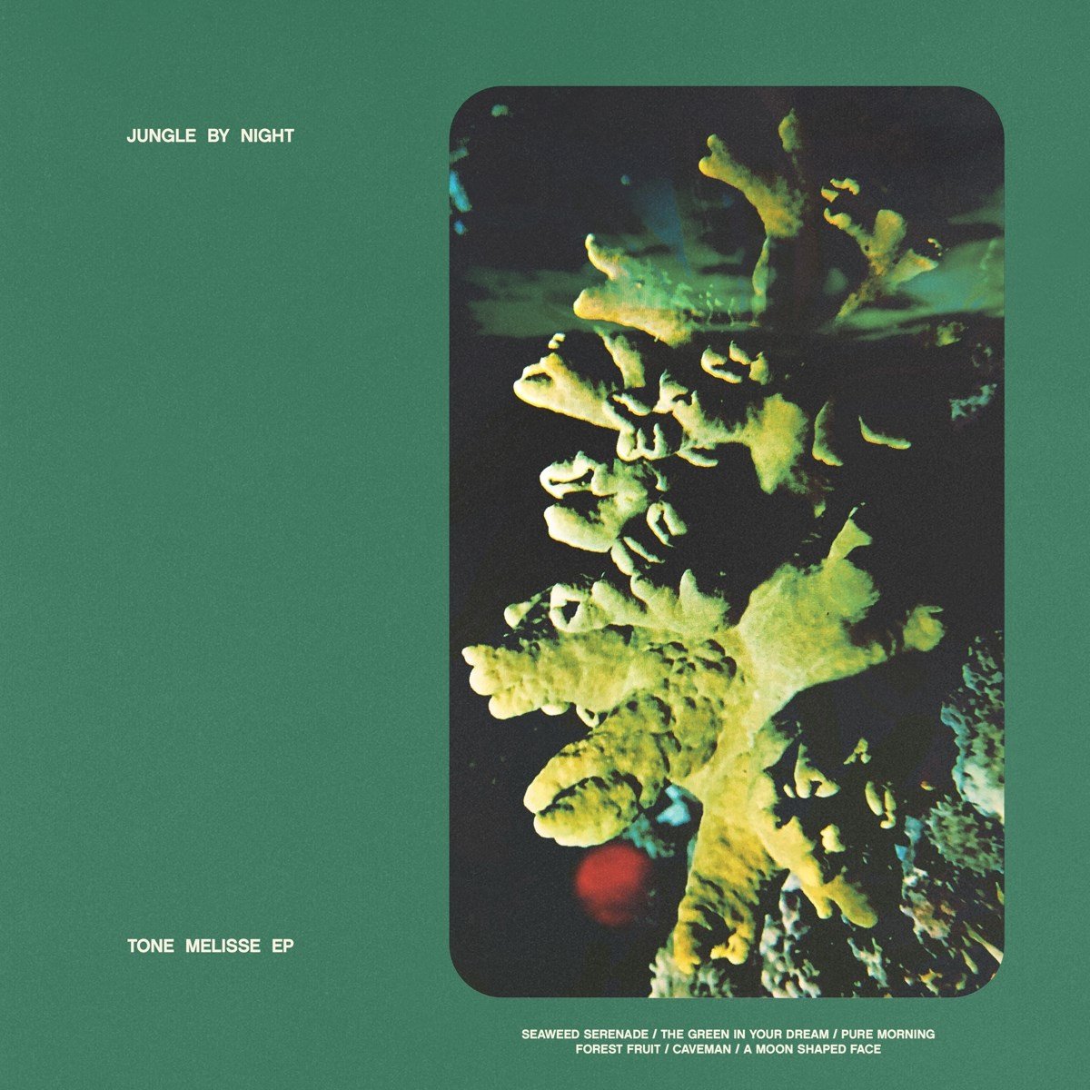 Jungle By Night - Tone Melisse EP