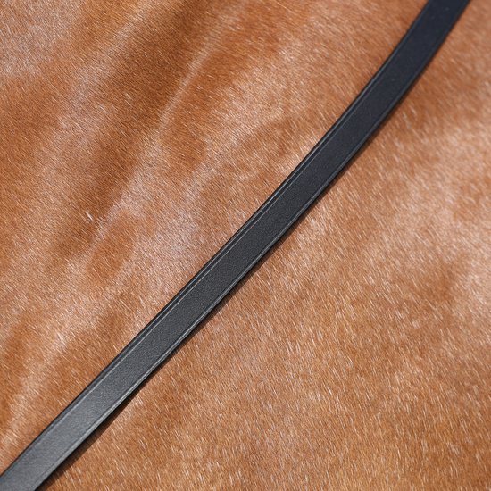 Epplejeck Dressuurteugel Epplejeck Gespsluiting Zwart | Maat: Paard