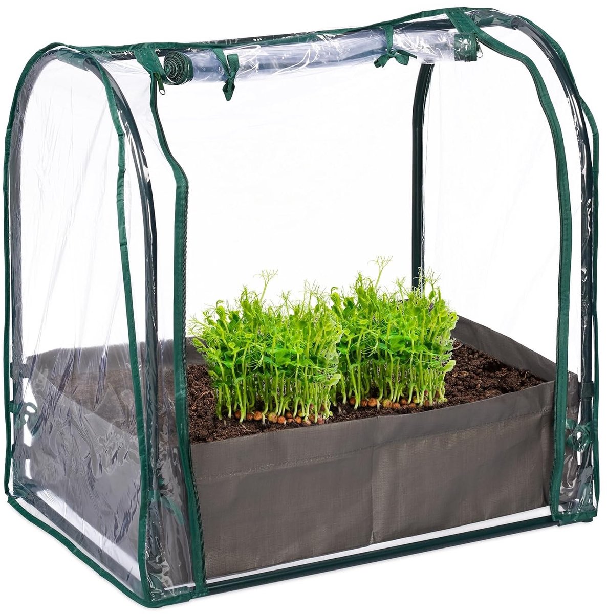 Famanu – Kweekkas met folie en stalen frame, 70x68x50 cm, met ritsdeur voor groente kweken, groen/transparant