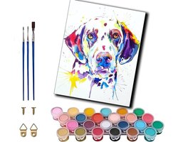 Schilderen op nummer - Doe-het-zelf schilderij Acrylverf kit - Ontspannen creëren - Voorbedrukt canvas - 40x50 cm - Kleurrijk
