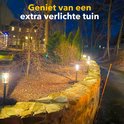 Zwarte solar tuinlampen met vlam-effect LED verlichten een tuinpad bij schemering.