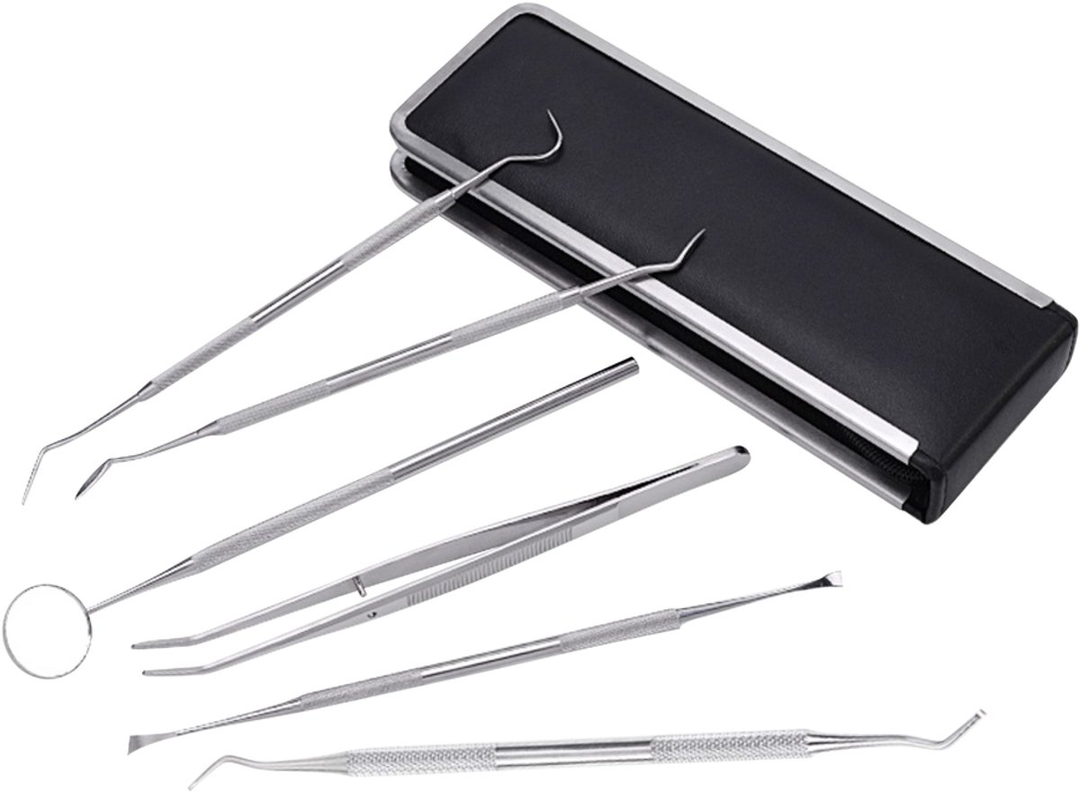 Professionele mondhygiëneset - 6 onderdelen met koffer
