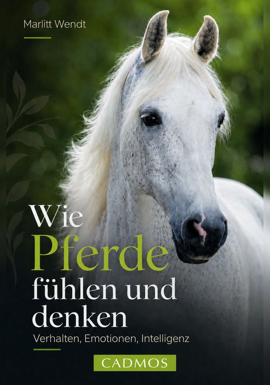 Mit Pferden kommunizieren - Wie Pferde fühlen und denken - cover