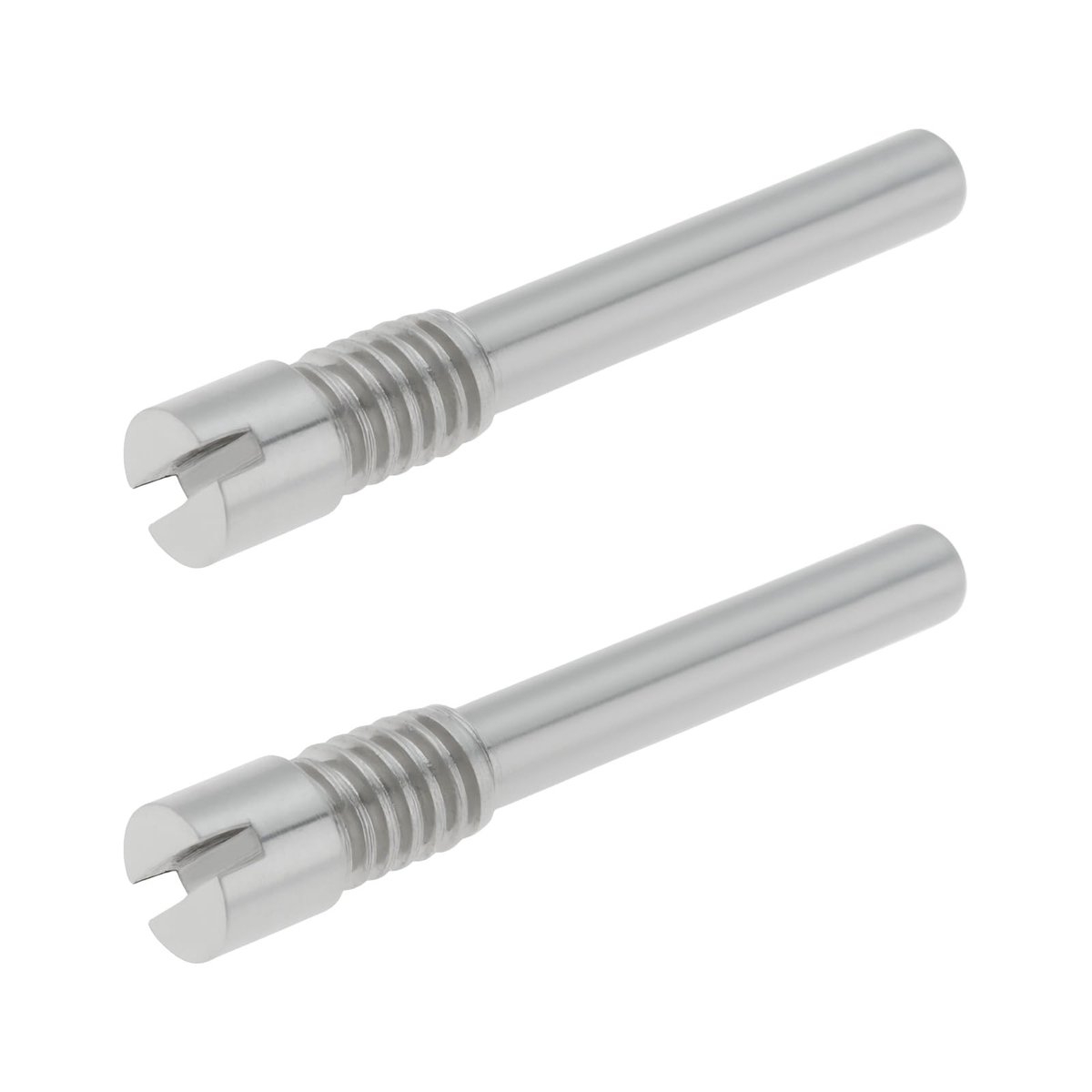 Dailygoods- Horloge Schroef Pin - 2 Stuks - Roestvrij Staal - Compatibel met Audemars Piguet - Lengte 12 mm - Diameter 1,8 mm