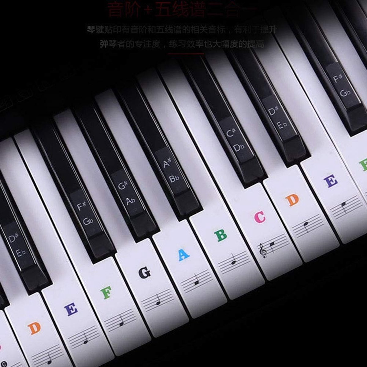 Dailygoods- Pianotoetsenbordsticker Afneembaar - 88/61/54/49/37 Toetsen - Hoogwaardig PVC - Geen Resten Achter - Dunne Stickers - Eenvoudige Installatie - Pianostickers