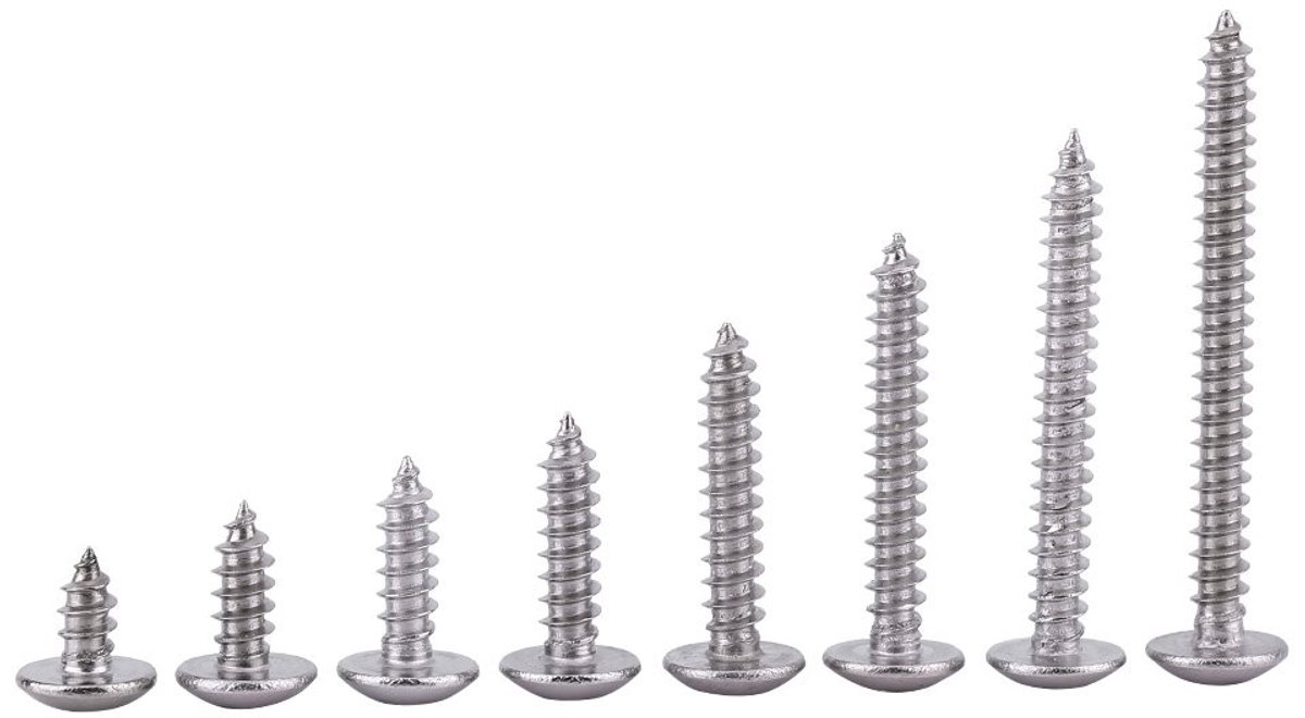Dailygoods- Zelftappende Schroeven 200st - Roestvrij Staal 304 - Trusskop - Voor Hout/Plastic - Ideaal voor Krappe Ruimtes - Goede Corrosieweerstand