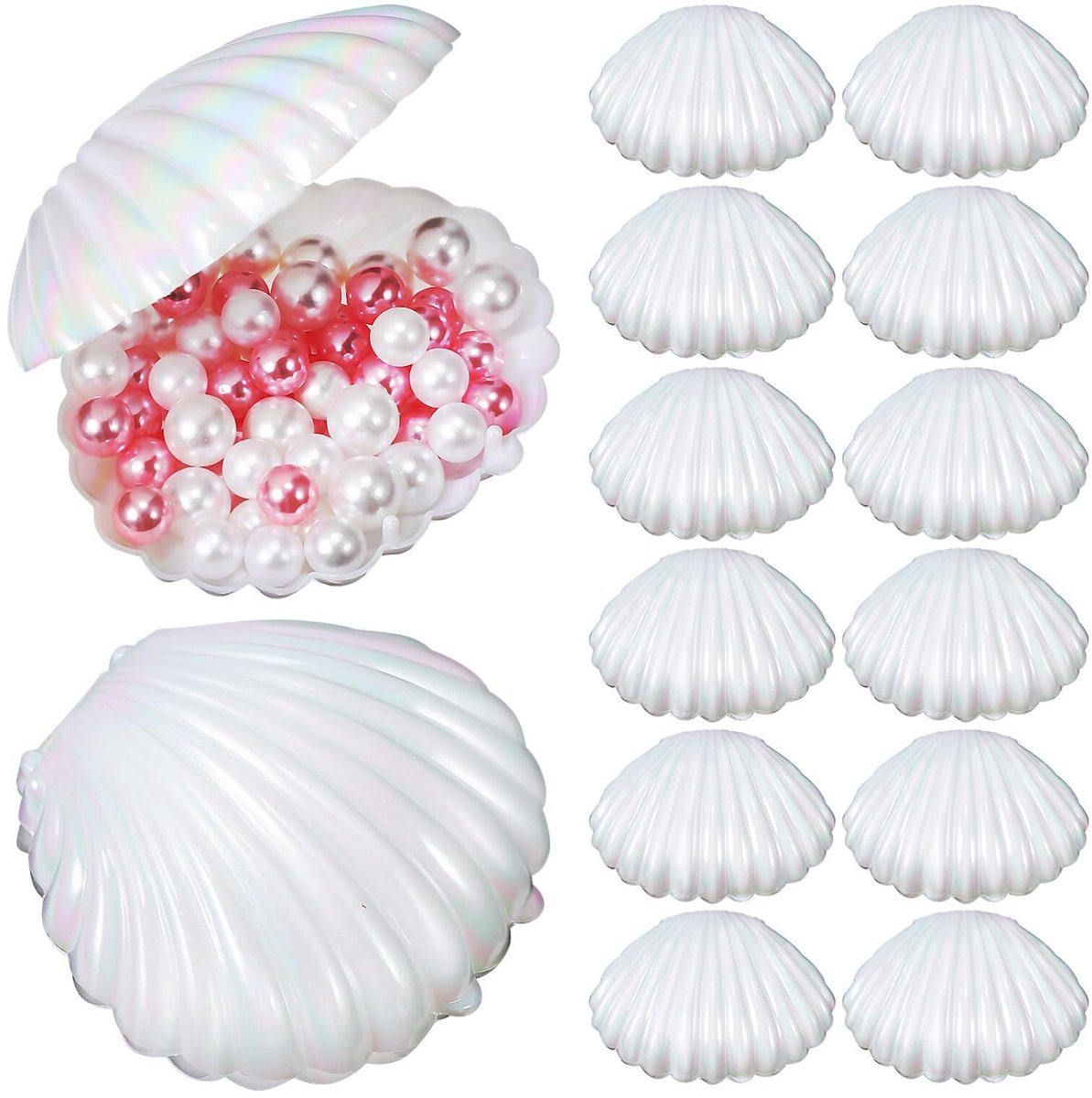 Dailygoods- Schelpenbox 15 Stuks - Schelpvorm - Sieradenhouder - Geschenketui - Snoepdoos - Creatief Gebruik - Opbergdoos