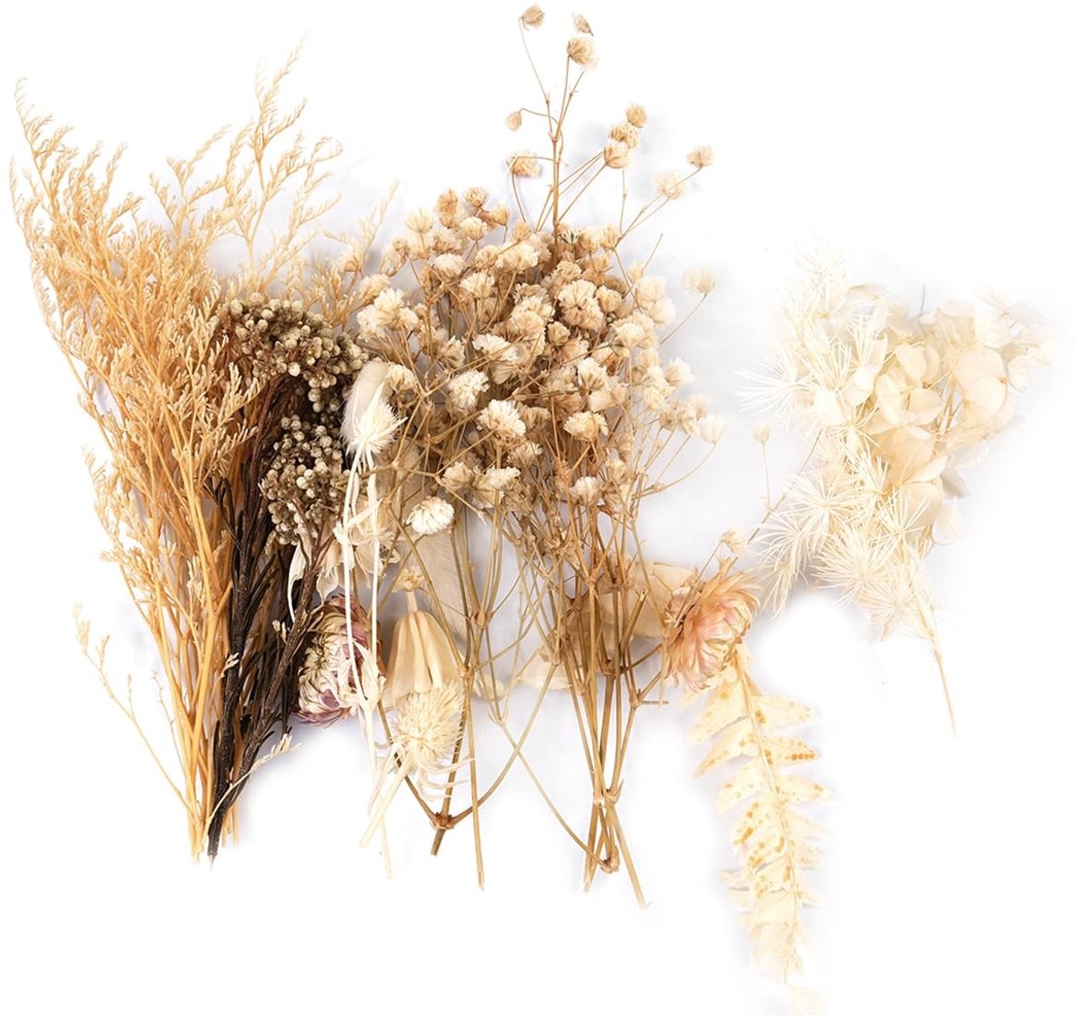 Dailygoods- Geperste Bloemen - Natuurlijke Gemengde Bloemen - Voor Kaarsen/Harskunst - Sieraden/Nagelkunst - Bloemendecoraties - Levendige Kleur - Decoratieve Bloemen