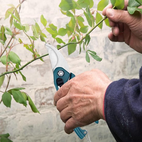 Snoeischaren Set - Tuin Scharen - Planten Onderhoud - Roestvrij Staal - Niet Gespecificeerd - Groen — afbeelding 3