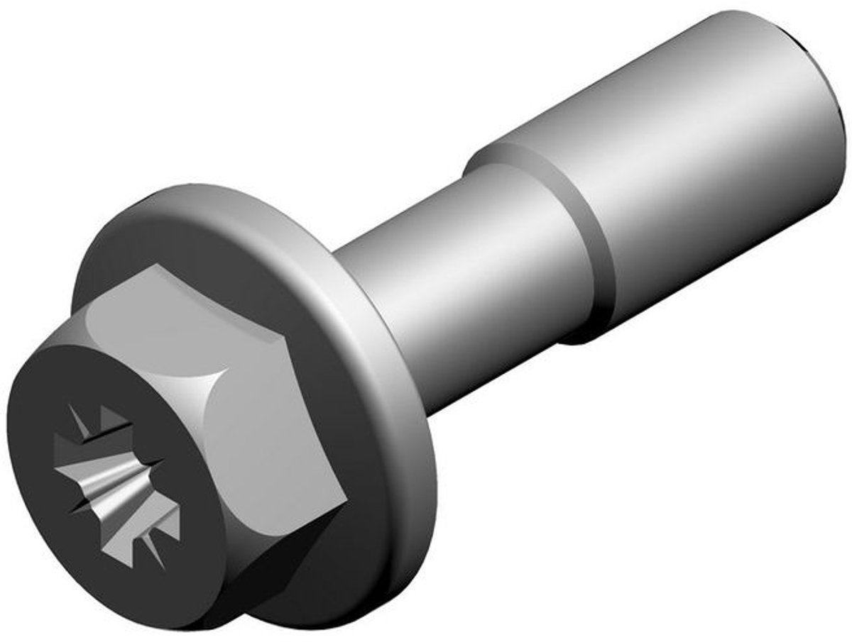 BOSCH Schroef (10x), 7746900431