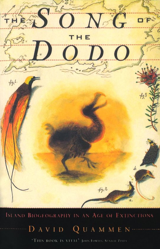 Song Of The Dodo - cover