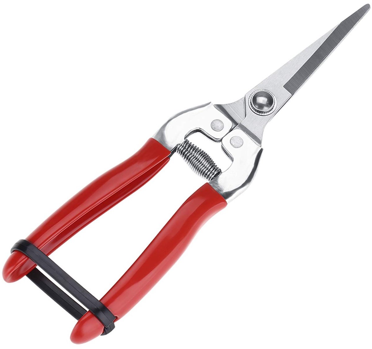 Dailygoods - Cosensi - Dailygoody - Fruit Shears - Tuinschaar - Ergonomisch ontwerp - Stainless steel - Snoeischaar - Efficiënt snoeien - Geschikt voor groenten - Kwali
