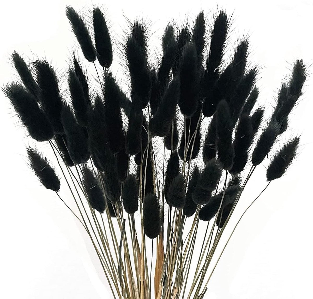 50 Sticks Dried Pampas Grass voor Boho Decoratie - Fluffy Droogbloemen Boeket voor Thuisaccessoires en Interieurstyling