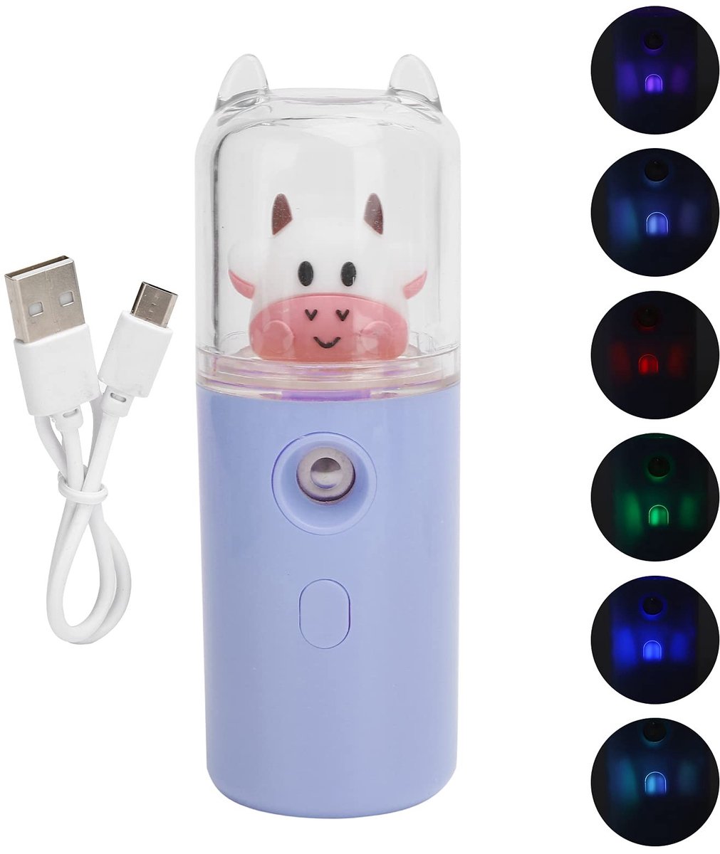 Dailygoods - Dailygoody - Nano Facial Mister - Gezichtsspray - Handig voor huidverzorging - Purper - Mini USB Sprayer - Verfrissing voor onderweg - Ideaal voor el