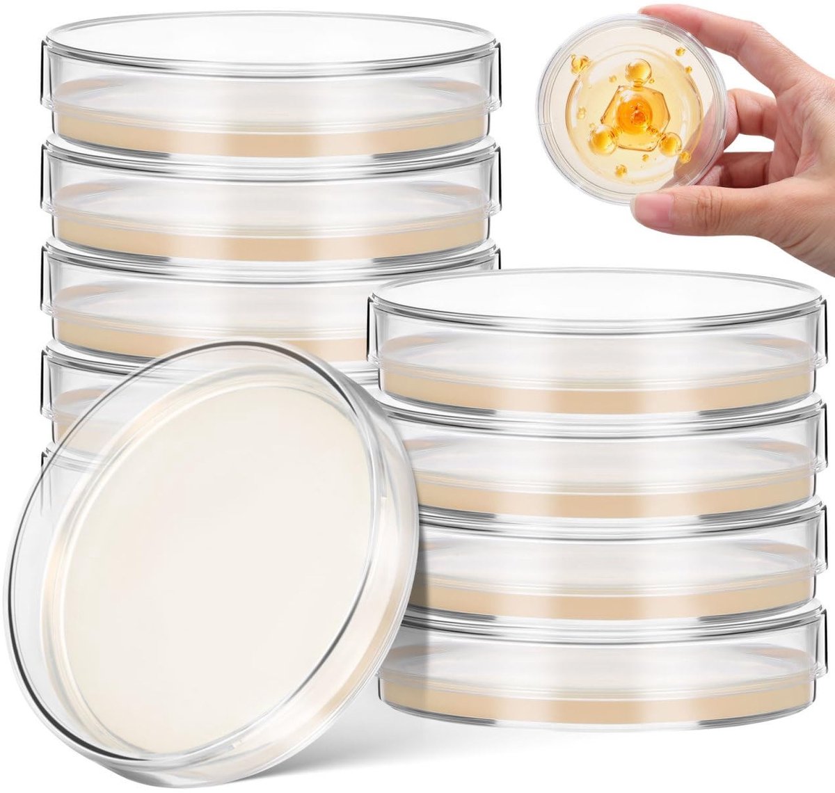 Dailygoods - 10 Stuks Steriele Agar-Platen voor Wetenschappelijke Experimenten